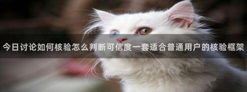 吃瓜爆料每日大赛：今日讨论如何核验怎么判断可信度一套适合普通用户的核验框架