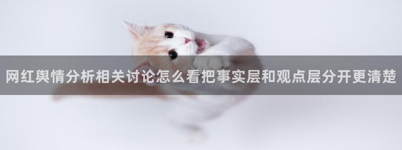 吃瓜大全：网红舆情分析相关讨论怎么看把事实层和观点层分开更清楚