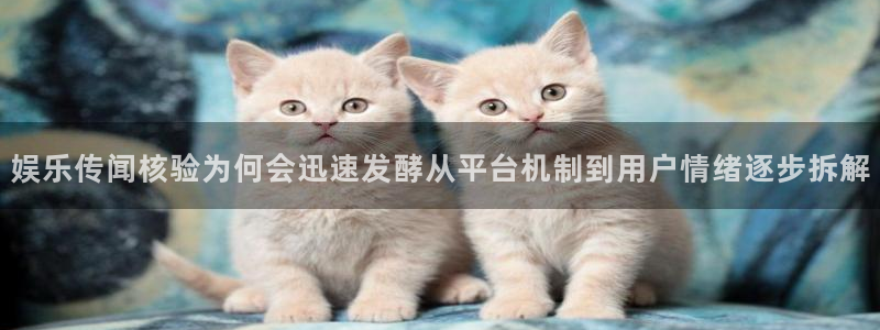 吃瓜群:娱乐传闻核验为何会迅速发酵从平台机制到用户情绪逐步拆解