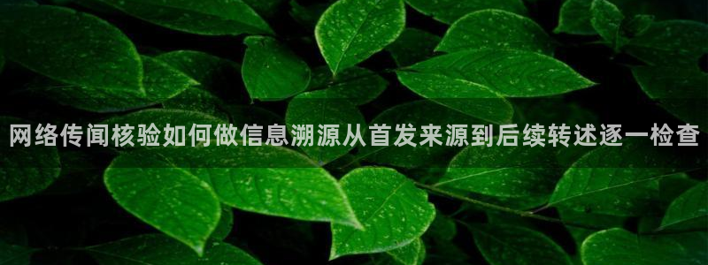 51吃瓜爆料网:网络传闻核验如何做信息溯源从首发来源到后续转述逐一检查