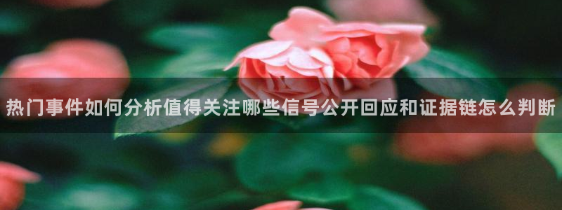 吃瓜网网站:热门事件如何分析值得关注哪些信号公开回应和证据链怎么判断