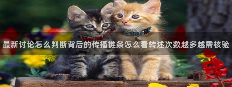 51吃瓜最新网址：最新讨论怎么判断背后的传播链条怎么看转述次数越多越需核验